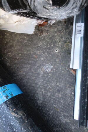 Påhængsvogn VA 205S1-2023 uden indhold