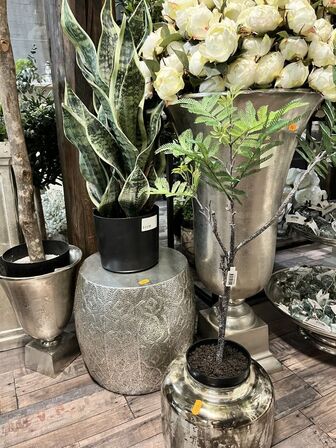 Planter mm.
