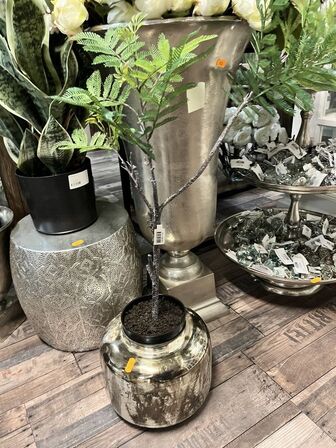 Planter mm.