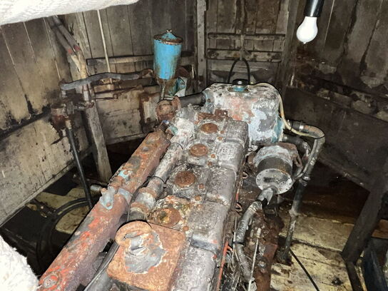 Bundgarnsjolle, Faxe Ladeplads, lærk på eg