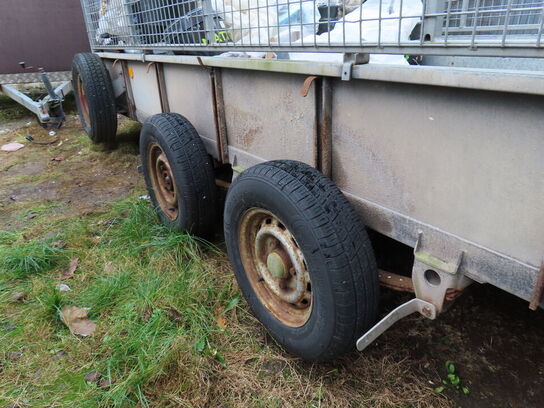Trailer, IFOR WILLIAMS Gd 125 Mk3, 2700kg. totalvægt