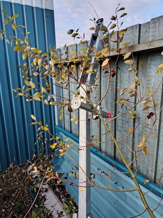 Trailer/ophalervogn ALKO 700-5