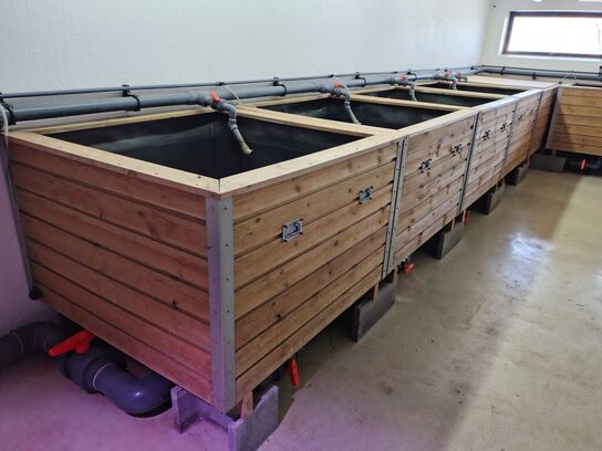 Komplet rense- og filteranlæg