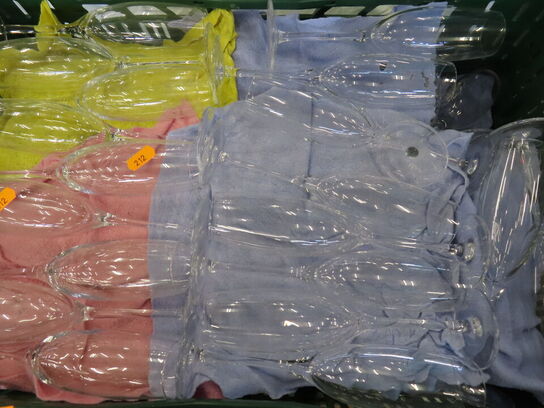 ca. 75 stk. Champagneglas - Zenz Penelope - 17 cl