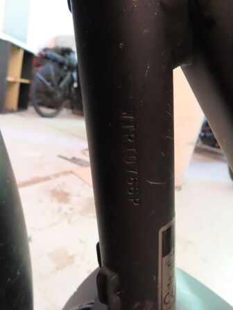 El. ladcykel, Triobike Mono med sort kasse og kaleche