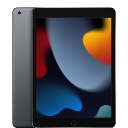 Apple iPad 9th Gen Wi-Fi 256 GB