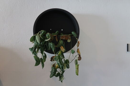 3 stk. væg plantekasser 