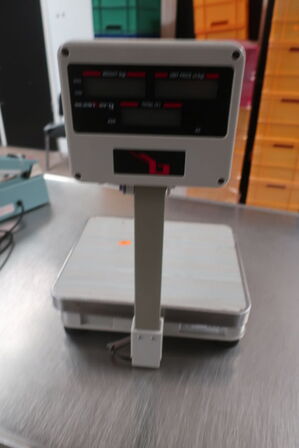 Detailvægt STEINBERG SBS-PW-100/10 200g-100kg