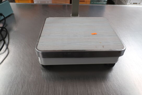 Detailvægt STEINBERG SBS-PW-100/10 200g-100kg