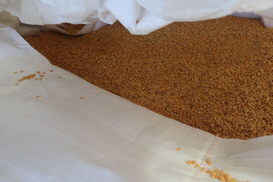 7 pll. m. lupinfrø (læs beskrivelse!)