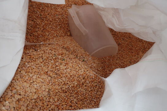 7 pll. m. lupinfrø (læs beskrivelse!)