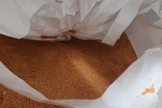 7 pll. m. lupinfrø (læs beskrivelse!)