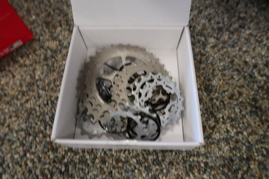 Kassette CAMPAGNOLO 12 speed 11-34 Sprockets