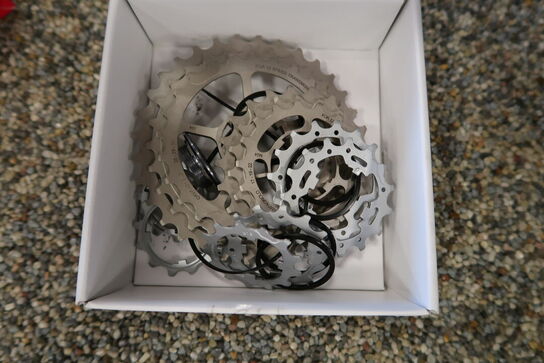 Kassette CAMPAGNOLO 12 speed 11-34 Sprockets
