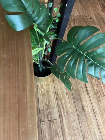 Alle kunstige planter i butikken