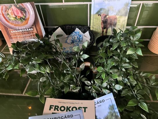 Alle kunstige planter i butikken
