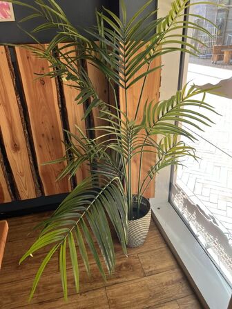 Alle kunstige planter i butikken