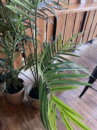 Alle kunstige planter i butikken