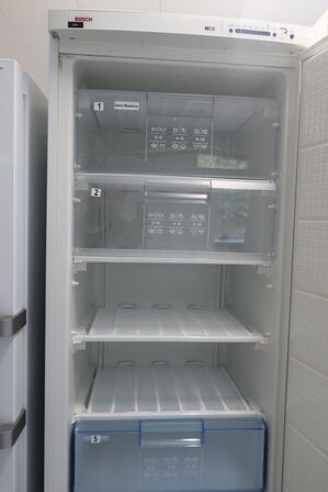 Fryseskab BOSCH GSE36420