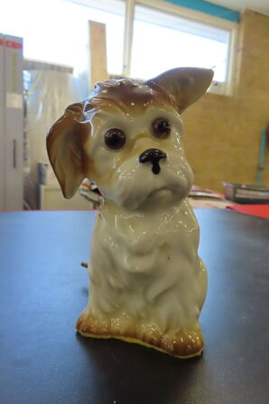 16 stk. Ozonlamper - Hunde