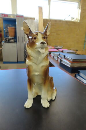 15 stk. Ozonlamper - Hunde