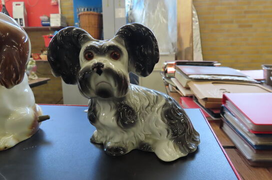 15 stk. Ozonlamper - Hunde
