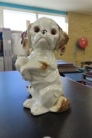 15 stk. Ozonlamper - Hunde