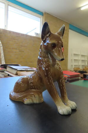 16 stk. Ozonlamper - Hunde