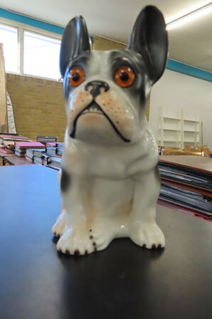 15 stk. Ozonlamper - Hunde
