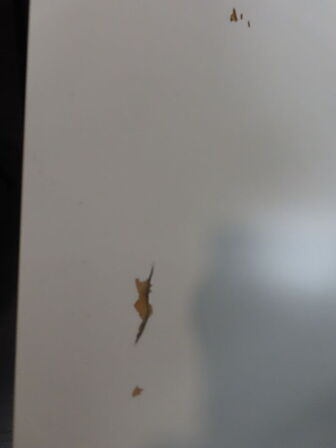 Bord & 2 stk. Stole, m.v.