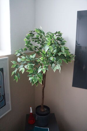 Bord, stol, tavle, m.v.