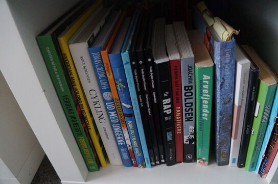 Reol med indhold af diverse tegneserier