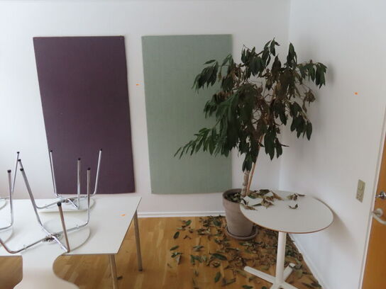 Stueplante, opslagstavler & bord