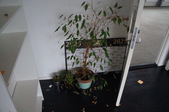 Diverse borde, reoler, stole, m.v.