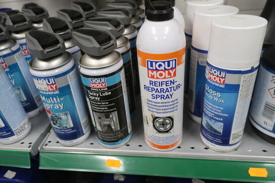 Hylde med div. Plejemidler LIQUI MOLY m.fl.