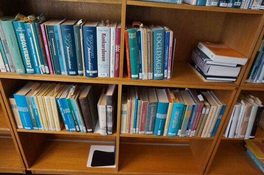 B8 Reolvæg med indhold 