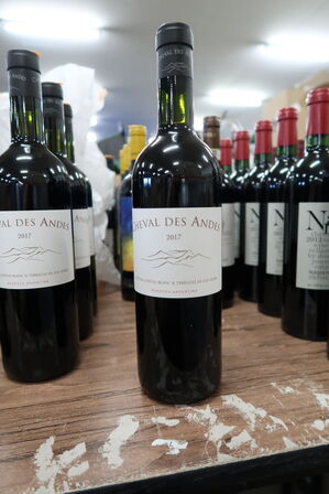 1 fl. Rødvin CHEVAL DES ANDES CHÂTEAU CHEVAL BLANC & TERRAZAS DE LOS ANDES 2017