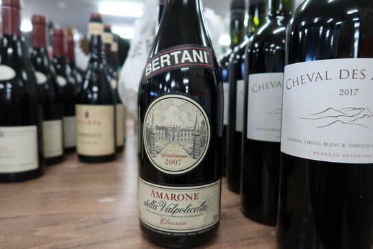 1 fl. Rødvin AMARONE BERTANI DELLA VALPOLICELLA 2007