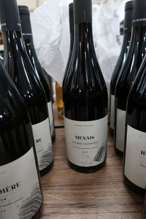 2 fl. Rødvin FABIEN DUVEAU MENAIS SAUMUR CHAMPIGNY 2022