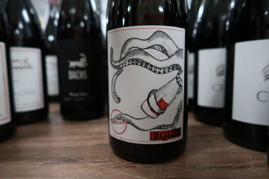 6 fl. Rødvin POURQUOI PAS 2023