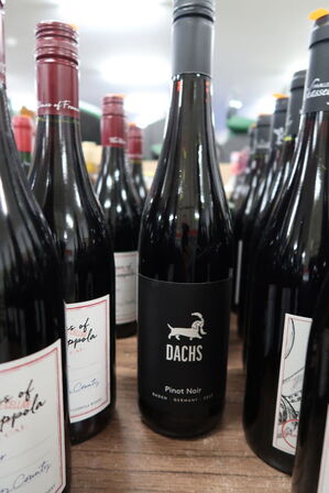 5 fl. Rødvin PINOT NOIR DACHS BADEN 2023