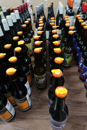 20 fl. Øl EBELTOFT GÅRDBRYGGERI Hjem til Jul IPA - 2025, Deep Blue