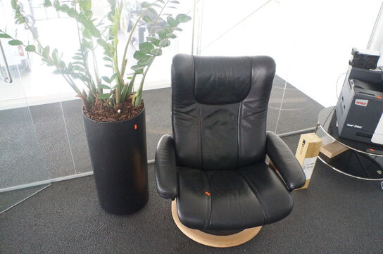 Lænestol & Stueplante