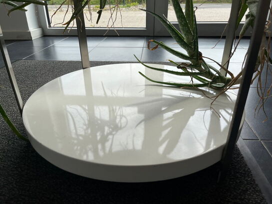 Rund rullebord med plante