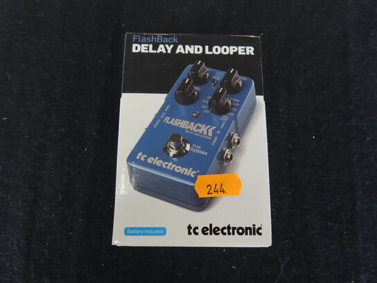 Guitarpedal - Flashback delay and looper - TC ELECTRONIC