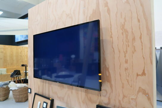 Fjernsyn PHILIPS med fjernbetjening