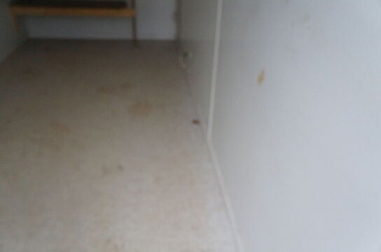 20 fods container 1CC