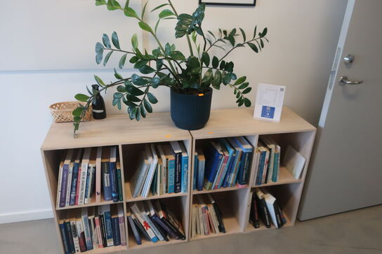 2 stk. reoler / plante / bøger m.m.