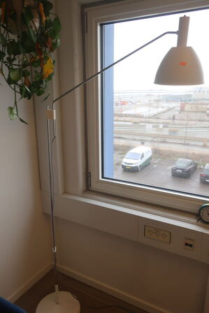 Standerlampe og plante