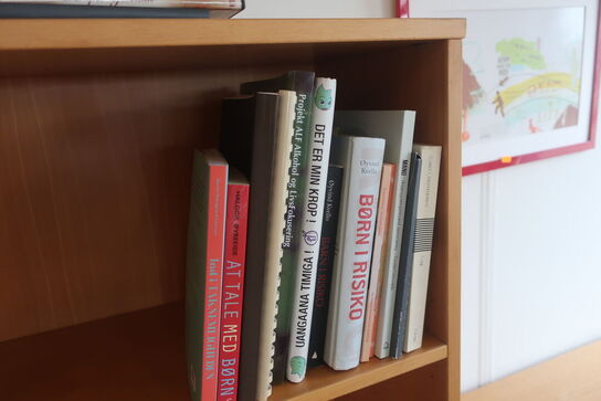 4 reolsektion med indhol